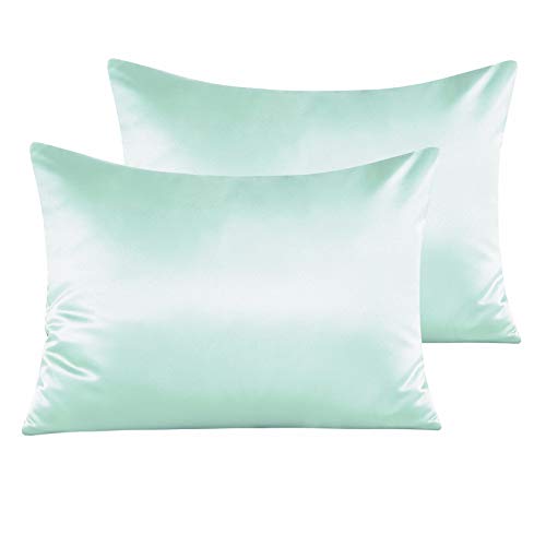 NTBAY Standard Satin Pillowcases, Set of 2, Zipper, Cyan