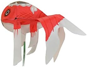 Amazon Co Jp 金魚ちょうちん Ver S 手描き 小 サイズ おもちゃ Amazon Co Jp 金魚ちょうちん Ver S 手描き 小 サイズ おもちゃ