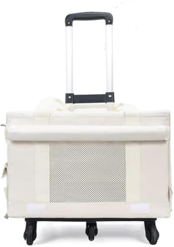 XiraivkeybgL[ ybgxr[J[ Xgbv@\ڂňSm ybgoɍœK ELpɑΉ ybgL[obOtŗ֐ ו{bNXŏ[\ ybgsOoɊp