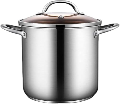 ステンレス 透明蓋付き 寸胴鍋 業務用 鍋 IH対応 煮込み料理 両手鍋 スプーン付 調理器具 大容量 パスタポット 鍋 スープ 寸胴鍋 キャンプ 家庭用 飲食店 (A)