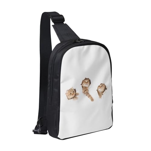 [RFSHOPWO] {fB[obO ʔ ˂ L L V_[ {fB ΂ߊ| | Y fB[X EΉ e h y c^ AEghA ] ʋ ʊw s