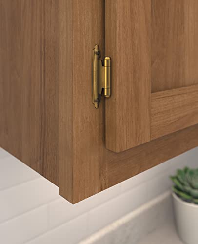 Amerock | Cabinet Hinge | Variable Overlay Hinge | Antique Brass | 2 Pack | Self-Closing Hinge | Face Mount Hinge | Cabinet Door Hinge #TOP1