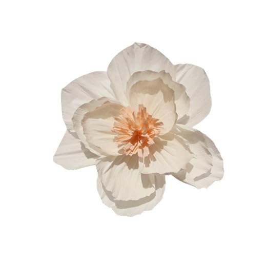 Namzi 10Pcs 12in Crepe Paper Flowers Decoration for Wall, Flowers for Wedding Decor,Flower Backdrop Decor,Baby Shower,Birthday Party,Photo Backdrop,Archway Decor, Nursery Wall Decor?White