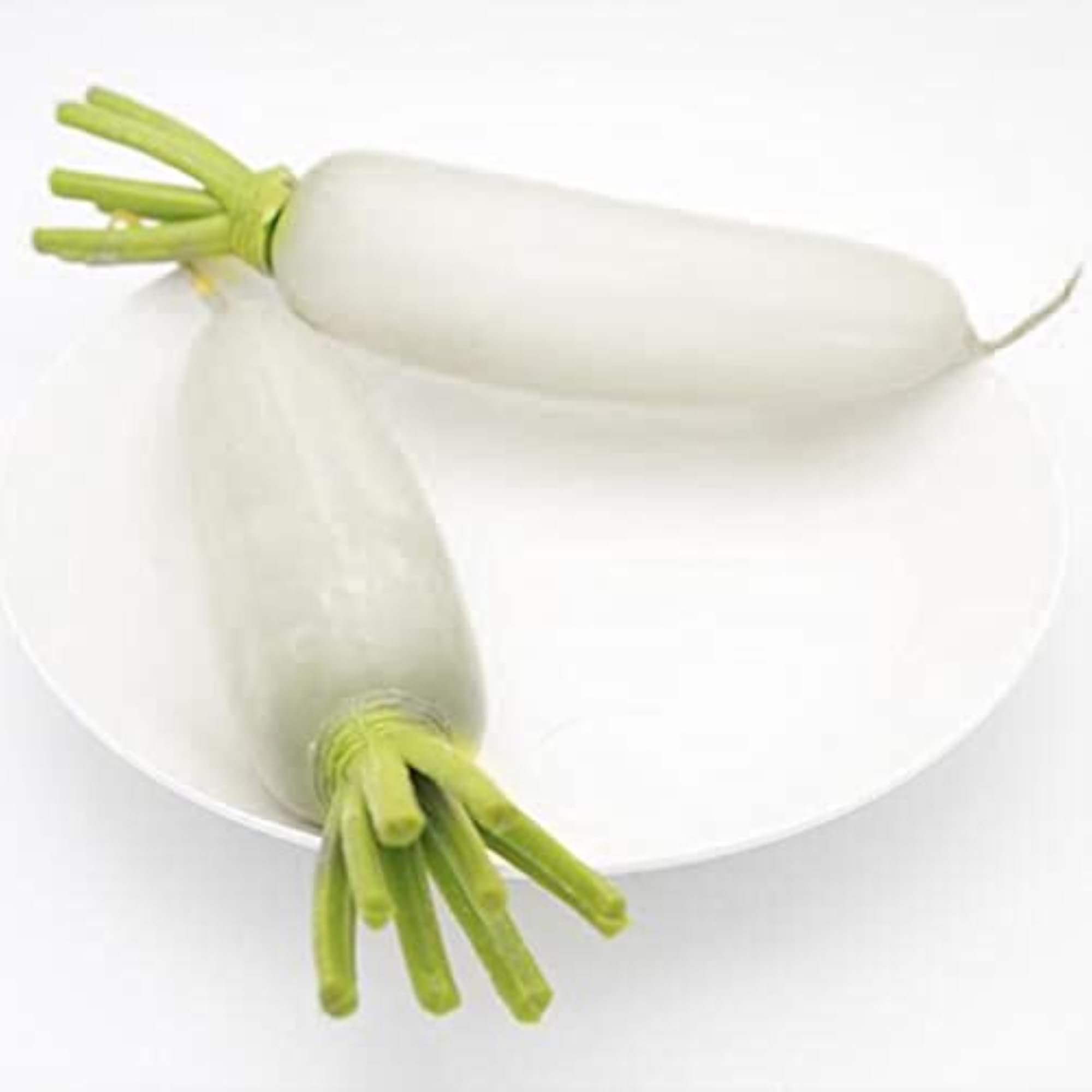 Decorative Plastic Artificial Fake Vegetables