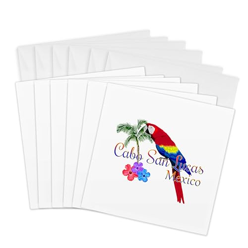 Cartes de vœux Cabo San Lucas perroquet coloré correspondance carrée 15cm