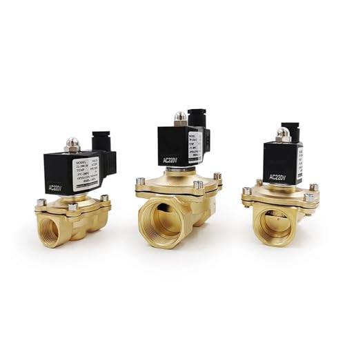 Électrovanne de commande électrique en laiton 2W-320-32 DN10 AC220V - 5
