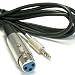 10Ft XLR Female to 3.5mmm Stereo Male Cable