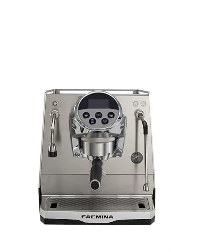 Faema Faemina Professional Espresso Machine with Automatic Steam Wand, One-Touch Cappuccino & Latte Maker, Dual Boiler, Internal Tank, Premium Italian Coffee & Tea Machine, Classy Aluminum Design
