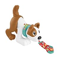 Fisher-Price - 123 Tobia Gattona con Me, Cagnolino Giocattolo Elettronico Edizione italiana con Movimenti Realistici per Primi Passi con Tecnologia Smart Stages, Giocattolo per Bambini 6+ Mesi, HHH16