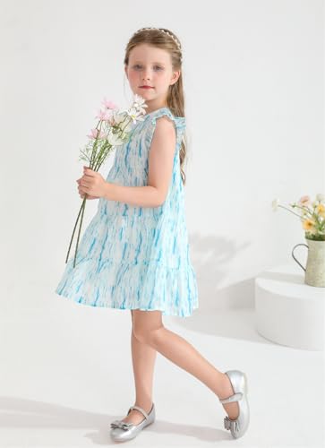 Little Girls Ruffle Sleeveless Fluffy Dresses Crewneck A Line Tiered Swing Pleated Tutu Dress for Kids Casual Party3