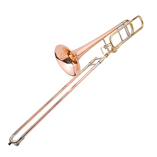 TSTS B tbgF ^Jv`[u bJ[dグ S[h ɍœK ptH[}Xoh S g{[