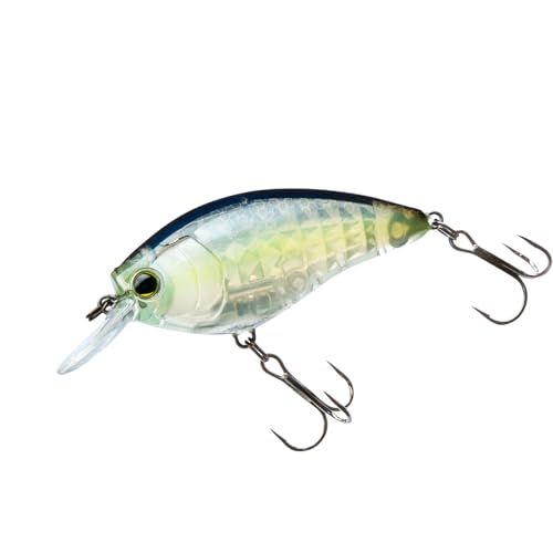 Crank 3DRX SR 50 mm Ghost Sexy Shad poisson nageur leurre de pêche