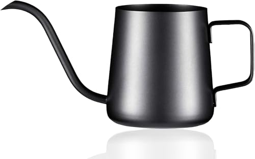 Houbobo Small Watering Can for Indoor & Outdoor Plants 250ml Stainless Steel Pot with Long Spout for House Plants Bonsai Garden Flower (Black)