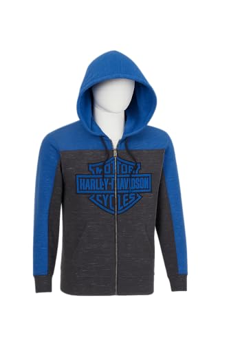 Harley-Davidson Men's Bar & Shield Colorblock Zip-Up Hoodie - 96283-22VM2