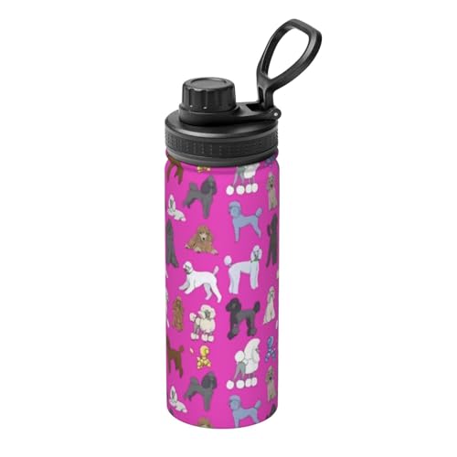 v[h  X|[c{g  500ml @r ۉ{g }O{g ۉJbv ^tXR XeX{g EH[^[{g R[q[Jbv X|[c ^fM s