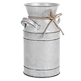 Utilisation polyvalente : pour les fleurs fraîches, les fleurs séchées ou comme objet décoratif, ce vase polyvalent répond à divers besoins de décoration et met en valeur différents environnements. vase rustique en forme de bidon à lait galvanisé