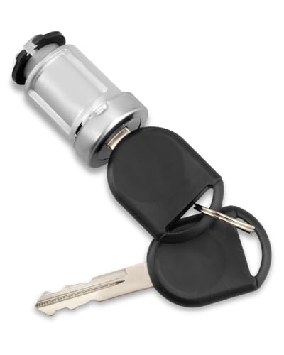 Hulyxayfave Ignition Switch Lock Cylinder with 2pcs Transponder Chip Keys Fit for Ford F150 F250 F350 Escape Focus Lincoln Mustang Mercury Mazda, Replacement 924-717 4L3Z11582BB