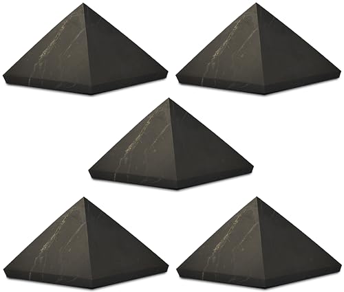 Shungite World 5 pcs Authentic Shungite...