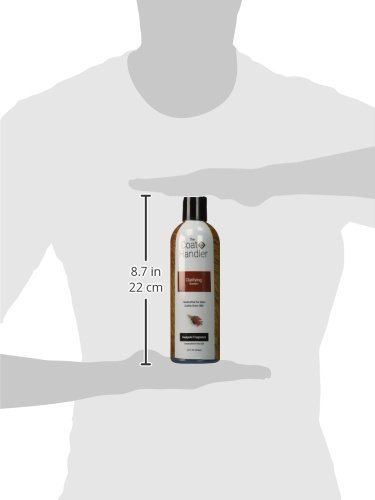 The Coat Handler Clarifying Dog Shampoo, 16 Oz - Natural Ingredients, Brightening, Removes Stains And Dirt, Brightens All Coat Colors, Professional Grade Grooming Shampoo, Bulk Concentrated #TOP2