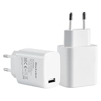 Blackview 18W USB-C Ladegerät, Schnellladegerät mit PD 3.0, Kompatibel mit Smartphones, Tablets und mehr, Kompakt und Sicher