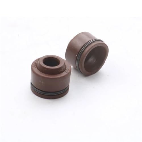 Joint d'huile de tige de valve 100669290 contre la perte de compression Joyride et Joymax