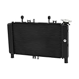 Al Aire Libre Enfriador del radiador Apto for Motocicleta MT09 TRACER9 XSR900 2021-2024 Pieza Duradera