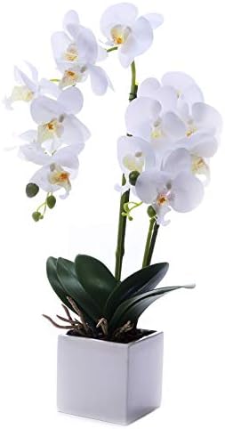 GXLMII Artificial Orchids Flowers Plants with Vase for Table Centerpieces, Faux Orchid Orquideas Artificial Real Touch Flowers Large Vivid Orchid Phalaenopsis White Orchid Plant Indoor Room Decoration