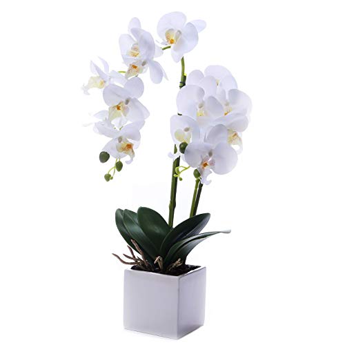GXLMII Artificial Orchids Flowers with Vase for Table Centerpieces, Faux Orchid Orquideas Fake Real Touch Large Vivid Phalaenopsis White Plant Indoor Room Decoration