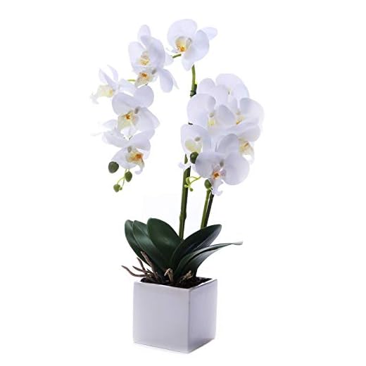 GXLMII Artificial Orchids Flowers with Vase for Table Centerpieces, Faux Orchid Orquideas Fake Real Touch Flowers Large Vivid Orchid Phalaenopsis White Orchid Plant Indoor Room Decoration