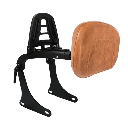Barre Sissy pour conducteur et passager, l'accessoire idéal pour vos road-trips en custom FLSTC