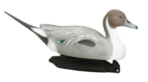 Flambeau Sand Masters Pintail (6 Drakes & 6 Hens)