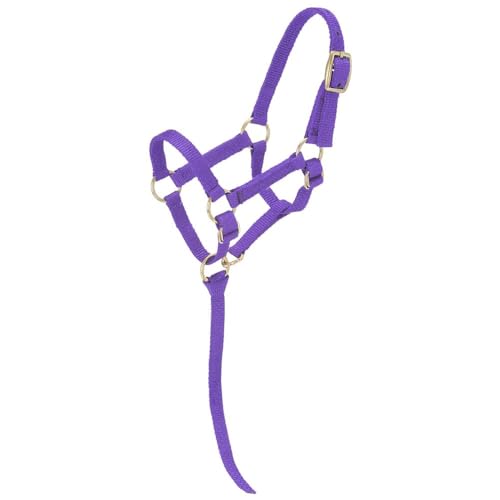Tough 1 Tough-1 Miniature Nylon Halter, Purple, Regular Mini.