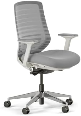 Branch Ergonomic Chair
