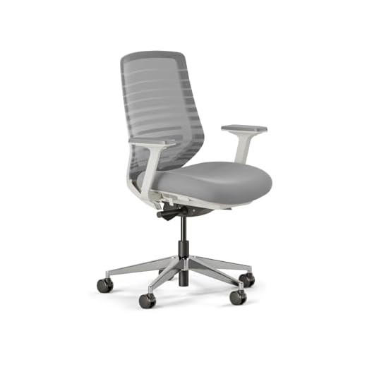 Branch Ergonomic Chair