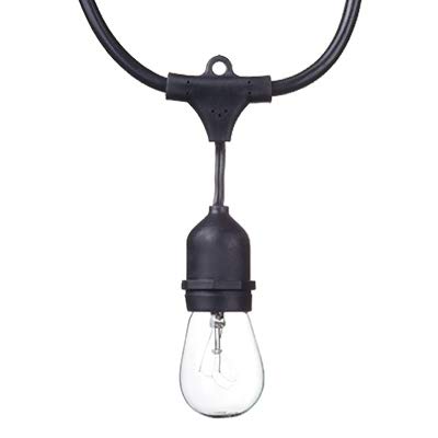 Globe 24 Feet 11 Watts S14 Dublin Incandescent Vintage String 12 Bulb Light Set, Includes Plug in, Black Cord and Bulbs for Indoor and Outdoor Use