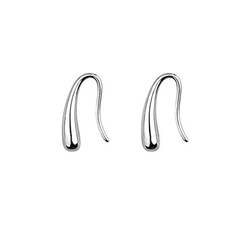 SLUYNZ 925 Sterling Silver Teardrop Earrings Drop for Women Teens Waterdrop Earrings Small Hook Earrings