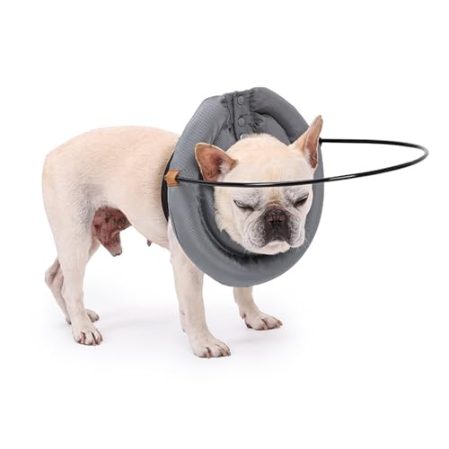 Mascotas, Imagen adicional