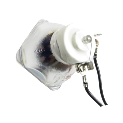 Ampoule nue NP15LP lampe rechange projecteur M260X M300X M271W M311X