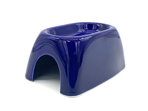 爬虫類 シェルター」の人気商品一覧 | 安い商品を通販サイトから探す