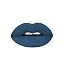 Blueberry Pie