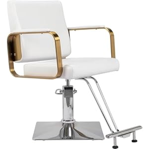 Salon Chair Styling Barber Chair, Beauty Salon Spa Equipment with Heavy Duty Hydraulic Pump, Adjustable Height & 360° Swivel for Barber Shop Hair Stylist, Max Load 330 lbs(White)