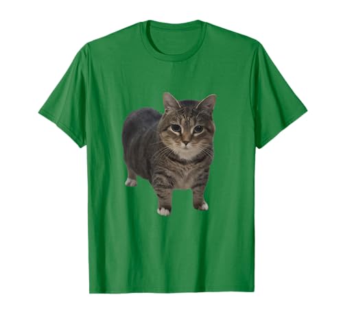 Funny Oiiia Spinning Cat Meme T-Shirt for Men Women Kids