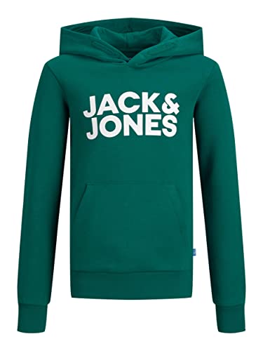JACK&JONES JUNIOR JJECORP Logo Sweat Hood Noos JNR Sweatshirt à Capuche, Storm/Fit : jr/Large imprimé, 14 Ans Garçon Cover