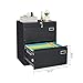DKYNDSYN 2 Drawer Lateral File Cabinet with Lock for Home Office Metal Filing Cabinet with Adjustable Hanging Rod Horizontal Filing Organization Storage Cabinet for Letter/Legal/A4/F4 Size Black
