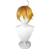 MAOMA