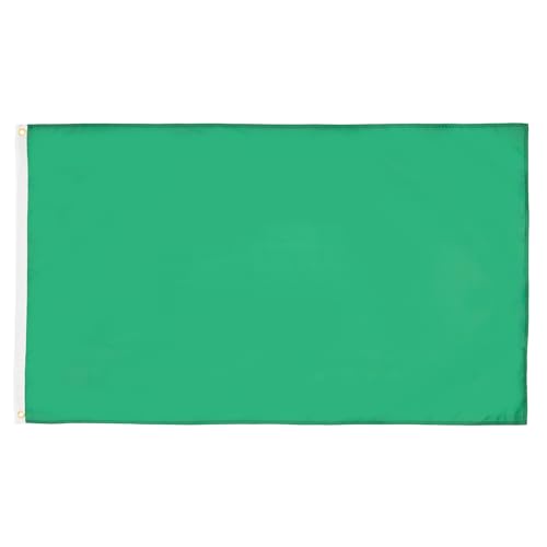 AZ FLAG - Bandeira verde unicolor - 90 x 60 cm - bandeira verde 100% poliéster com ilhoses de metal integrados - 50 g - cores vivas e resistentes à descoloração
