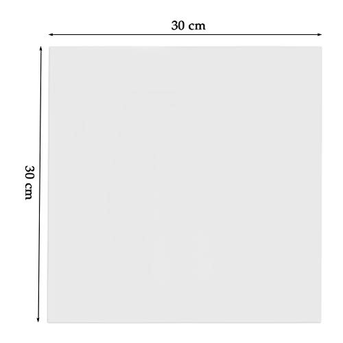 ATPWONZ 40Pcs Blank Stencil Sheets 12 x 12 inch 4 Mil Thickness Square Stencil Paper for Cricut Silhouette Machines