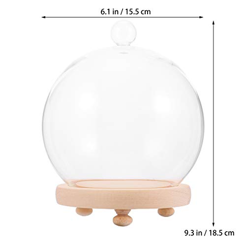 Besportble Preserved Flower Vase Glass Dome Cover Transparents Glass Bell Jar Fresh Flower Cover Valentine S Day Gift Ornament #TOP3