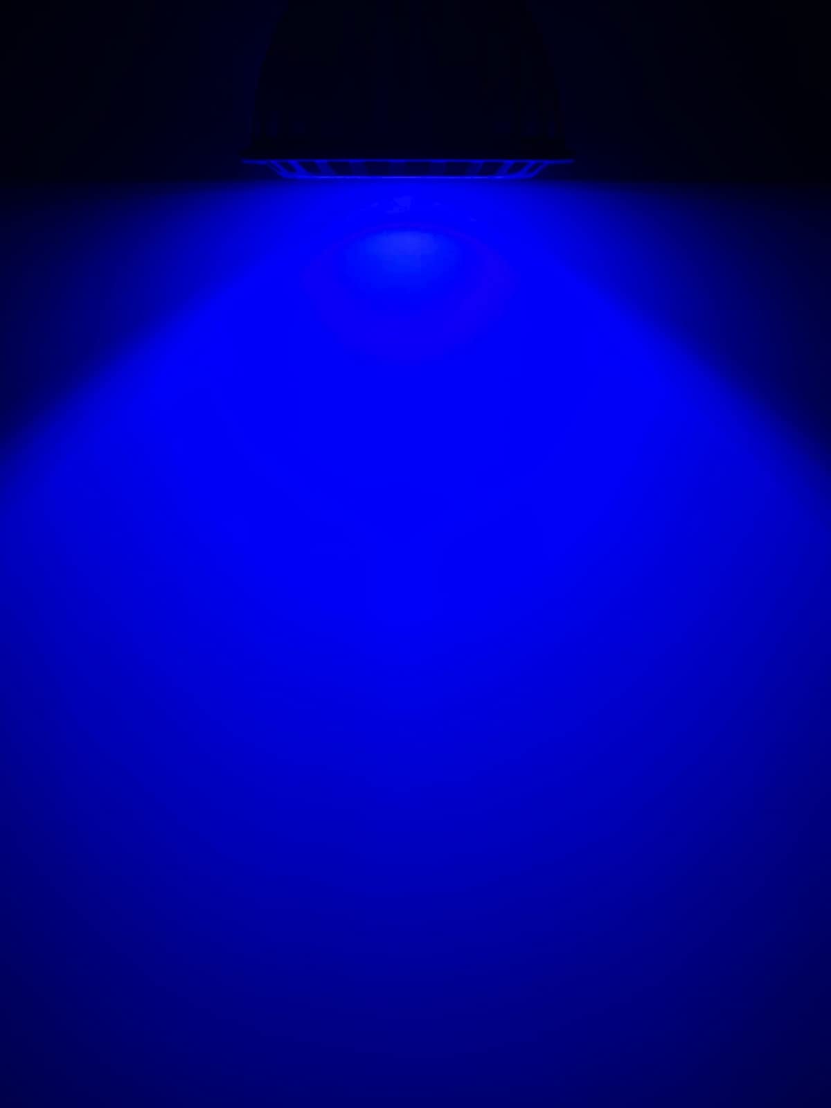 Amazon.co.jp: B.R.S Lighting Master C-05【ロイヤルブルー】50,000K