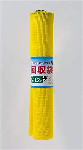 �_�C�I���� �J���X����� ���F 1×1.2(��4mm��) 50�Z�b�g